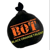 Black Orange Talent logo - Similar company to Broomling