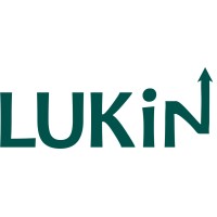LUKiN Consulting logo - Similar company to Msn4U