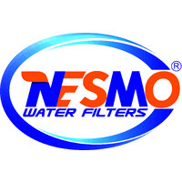Nesmo International logo - Similar company to Ecopulse Solutions (Pvt) Ltd