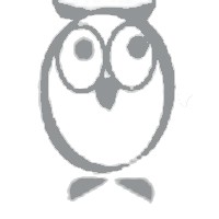 ImperialOwls Advisory logo - Similar company to Inovestra Capital