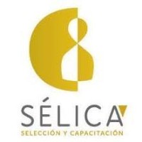 Sélica logo - Similar company to Gues