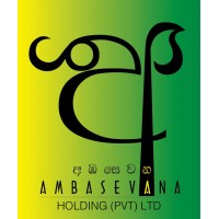 Ambasevana Holding (Pvt) Ltd logo - Similar company to Dinota Information Technologies