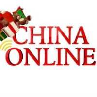 China online LTD logo - Similar company to Godgtal