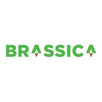 Brassica logo - Similar company to Simba Vegetables