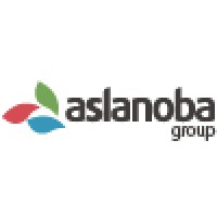 Aslanoba Group logo - Similar company to Enderun Information Technologies