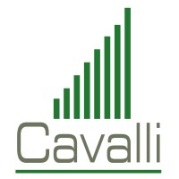 Cavalli Business Center Corp. logo - Similar company to Nessotech Inc.