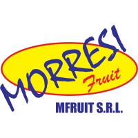 MFRUIT SRL logo - Similar company to Ntsoft