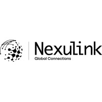 NexuLink logo - Similar company to Toc Flow Consulting