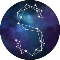Stellify Media logo - Similar company to Studio Ulster