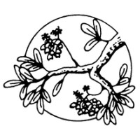 The Madrona Company logo - Similar company to Redisomm (Open Source)