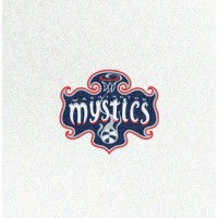 Washington Mystics logo - Similar company to American Plant Food Corporation