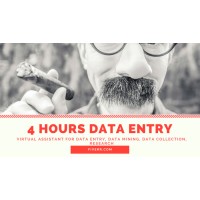 VA,Research and Lead logo - Similar company to Datax6 | Lead Generation | Web Research | Data Entry Operator