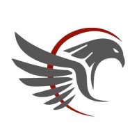 Falcon International Courier Services logo - Similar company to Om International Courier And Cargo