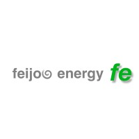Feijooenergy logo - Similar company to Leetio