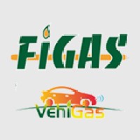 Feria Figas & Vehigas logo - Similar company to Surtidores