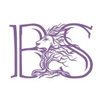 ברודצקי שמואל רואה חשבון/ Brodetsky Shmuel C.P.A logo - Similar company to אורי לפיד - אקטואר, רואה חשבון