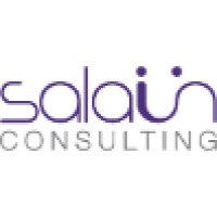 Salaün Consulting logo - Similar company to Din-Technology
