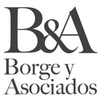 Borge y Asociados logo - Similar company to Cid Gallup