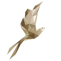 Layang Layang Aerospace logo - Similar company to Stepexo Robotics