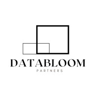 DataBloom Partners logo - Similar company to Databloom Limited