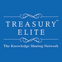 Treasury Elite logo - Similar company to Billionz