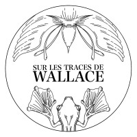 In the footsteps of Wallace logo - Similar company to Projet Akvo