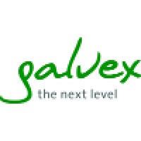 Galvex GmbH logo - Similar company to Kravion Marketing Agency