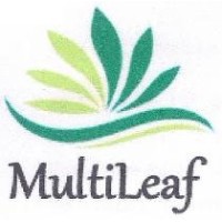 MultiLeaf Lda logo - Similar company to Frutexpo S.A.