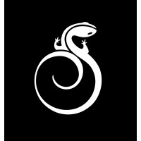 Salamander Collection logo - Similar company to Evolved Homes®