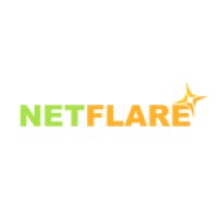 Netflare NG logo - Similar company to Netflare