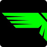 Best American Amusement Group logo - Similar company to Pinsj