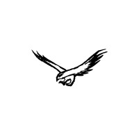 Eagle Spirit logo - Similar company to Metroscape Llc