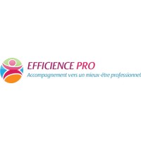 EFFICIENCE PRO logo - Similar company to Schmidt Vitré