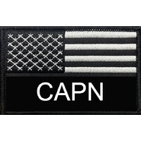 CAPN Security Services logo - Similar company to Hbcu Environmental Justice Technical Collaborative