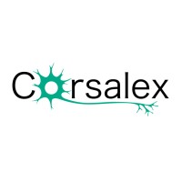 Corsalex, Inc. logo - Similar company to Silverride