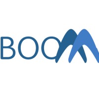 Boomerang Social logo - Similar company to Studio490 Digital Marketing
