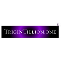 Trigintillion.one Capital Advisors Private Limited logo - Similar company to Think Numbers Pty Ltd