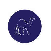 Blue Camel logo - Similar company to Mag-Lab