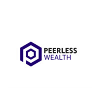 Peerless Wealth LLC logo - Similar company to Peerless Etfs