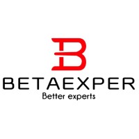 BetaExper Business Consulting logo - Similar company to Beta Enterprise Solutions