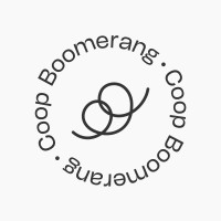 Boomerang Food logo - Similar company to Improove