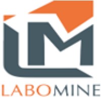 labomine officiel logo - Similar company to Vanelli Maroc