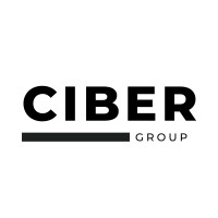 CIBER Group logo - Similar company to Mnj Group