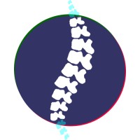 Maelane Orthopaedics logo - Similar company to Tomed Solutions