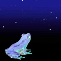 Frogs and Stars logo - Similar company to Bioscript Pty Ltd