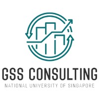NUS GSS Consulting logo - Similar company to Skilset