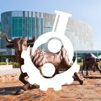 Society of Asian Scientists and Engineers at USF logo - Similar company to Seaside Seabird Sanctuary, Llc