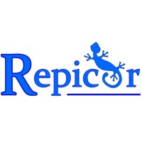 Piscinas Repicor- Construcción y reformas de piscinas en Córdoba y Marbella logo - Similar company to Codisna Piscinas