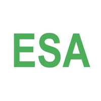 Elite Scholar Advising