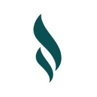 PetroForge Technology logo - Similar company to Vnk Solutions